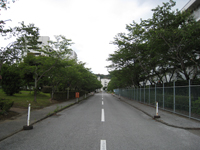 高知大学医学部