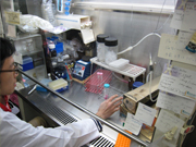 研究室について