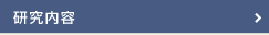 研究内容