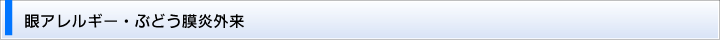 眼アレルギー・ぶどう膜炎外来
