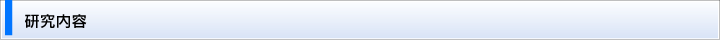 研究内容